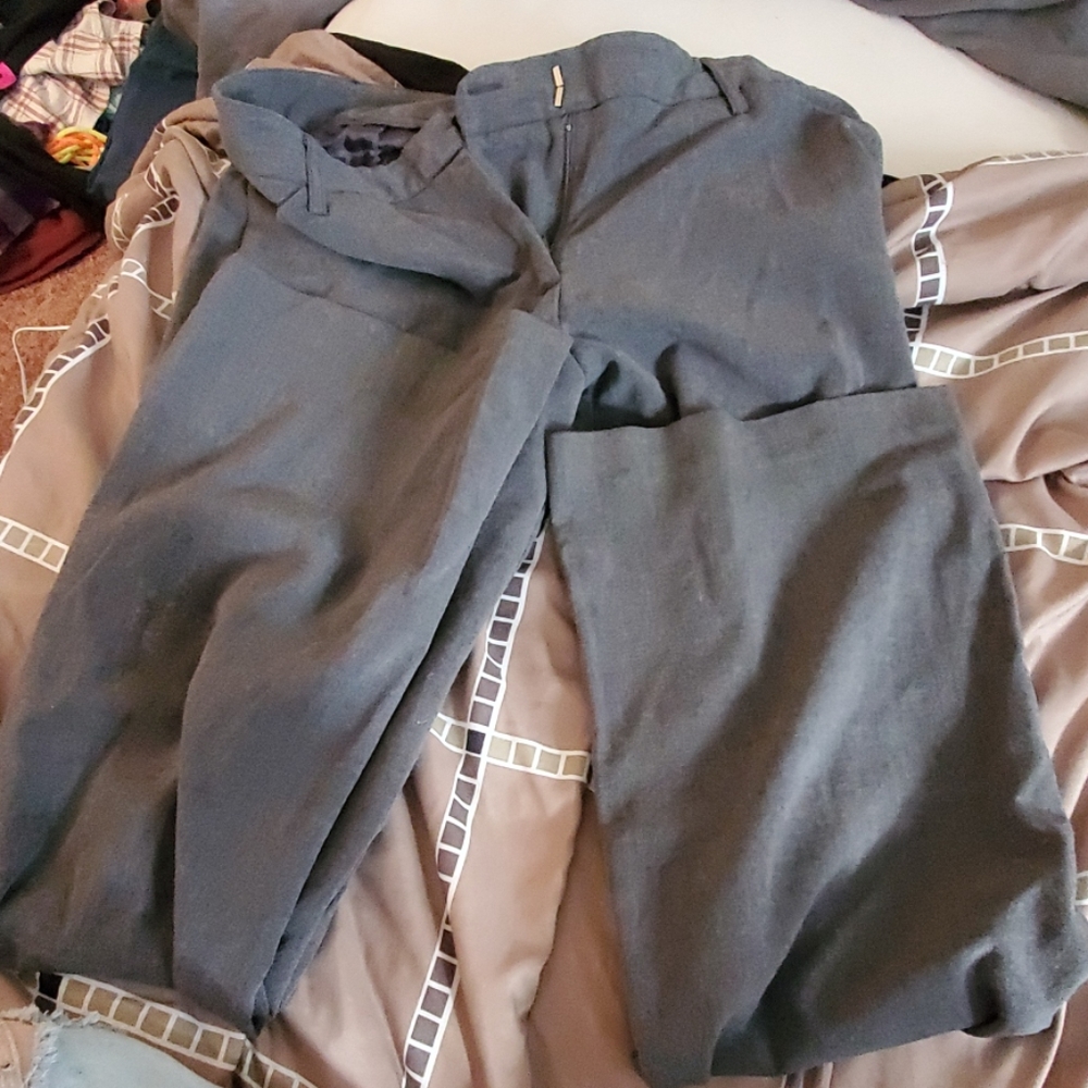 Dress pants